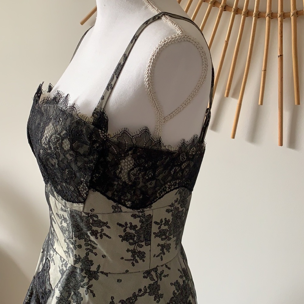ANTHROPOLOGIE MIRROR OF VENUS TROMPE L'OEIL PEPLUM - Picture 6 of 17